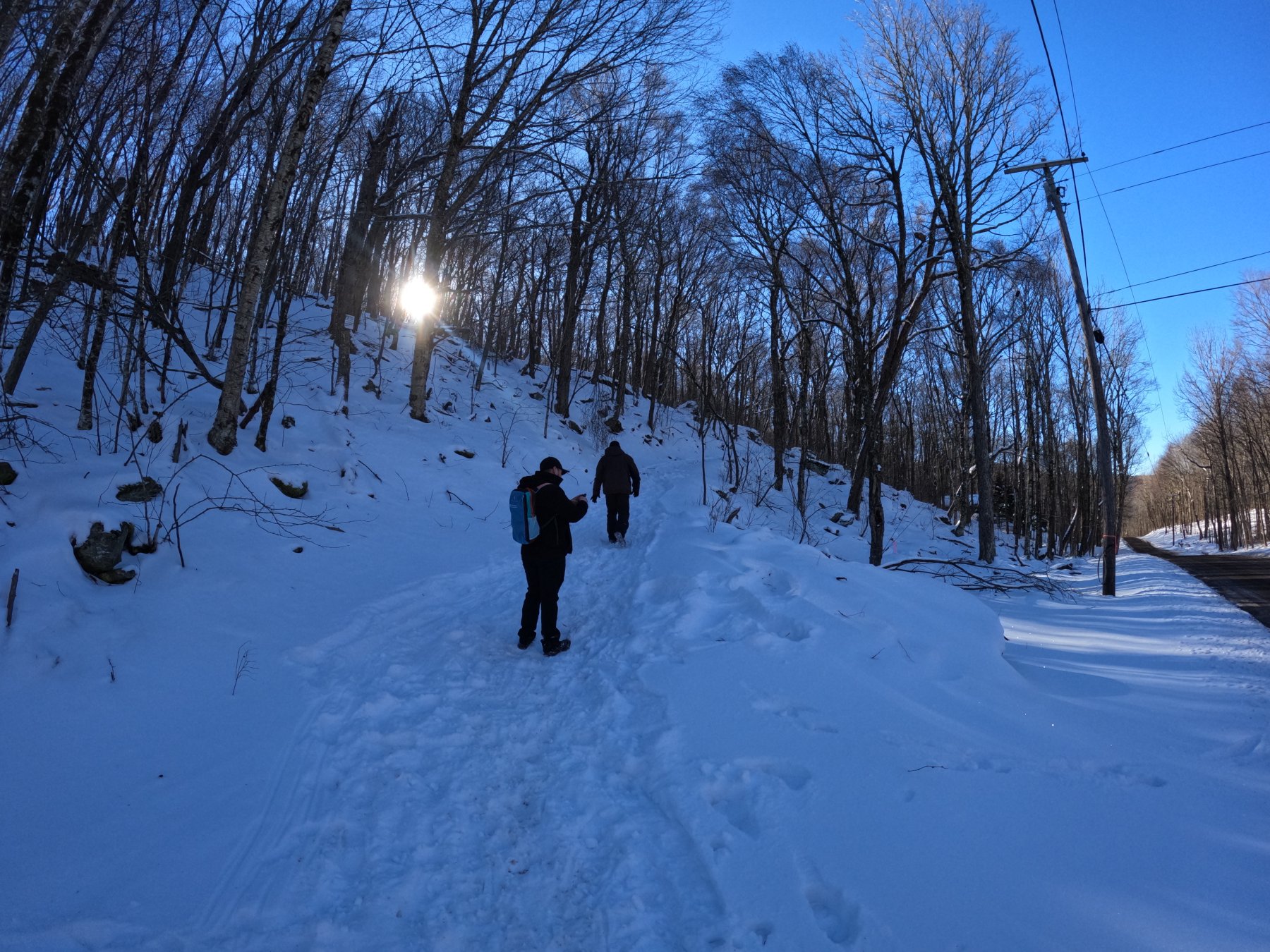 Open trail photo