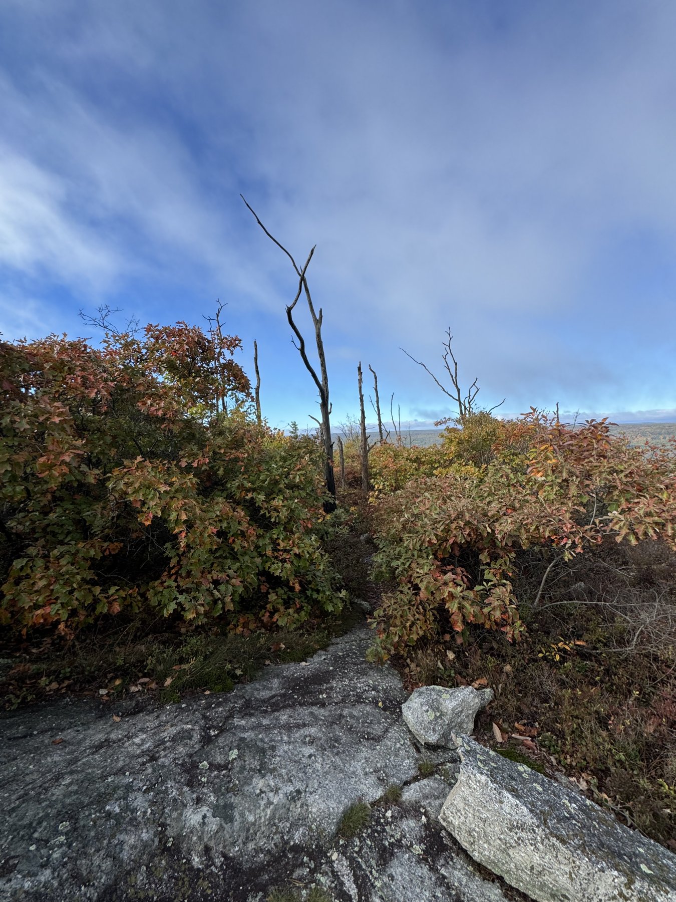 Hiking photo shared by HBTrails
