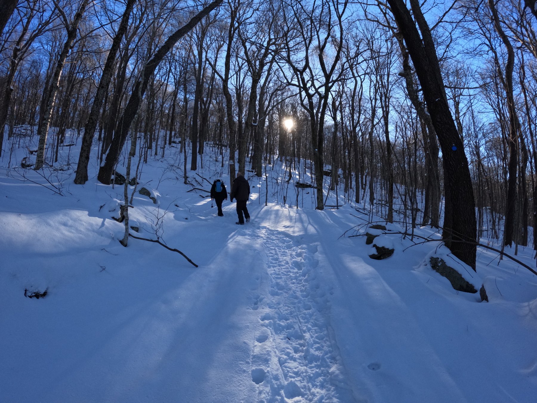 Open trail photo