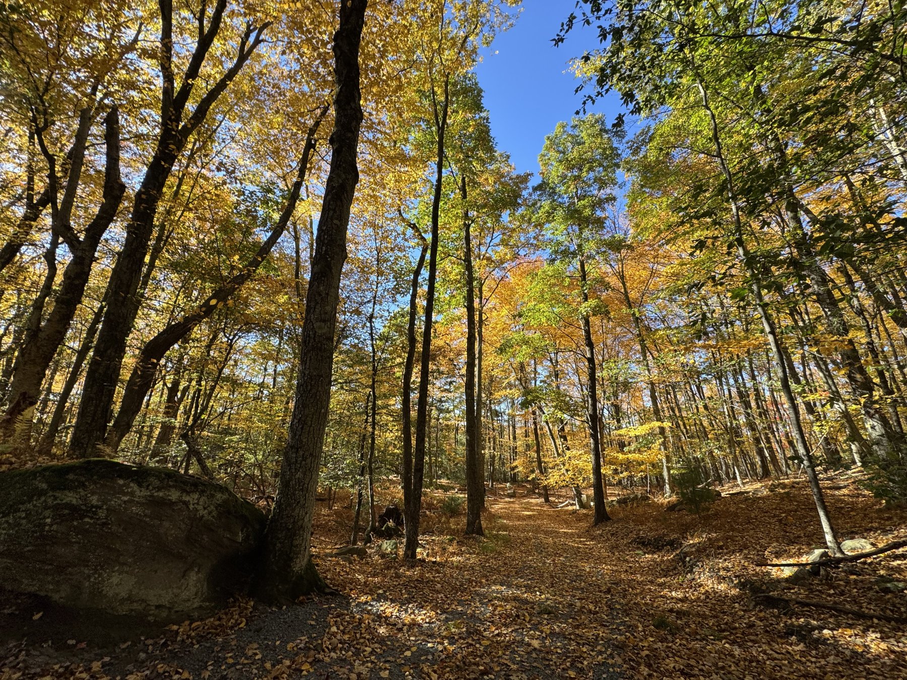 Hiking photo shared by HBTrails
