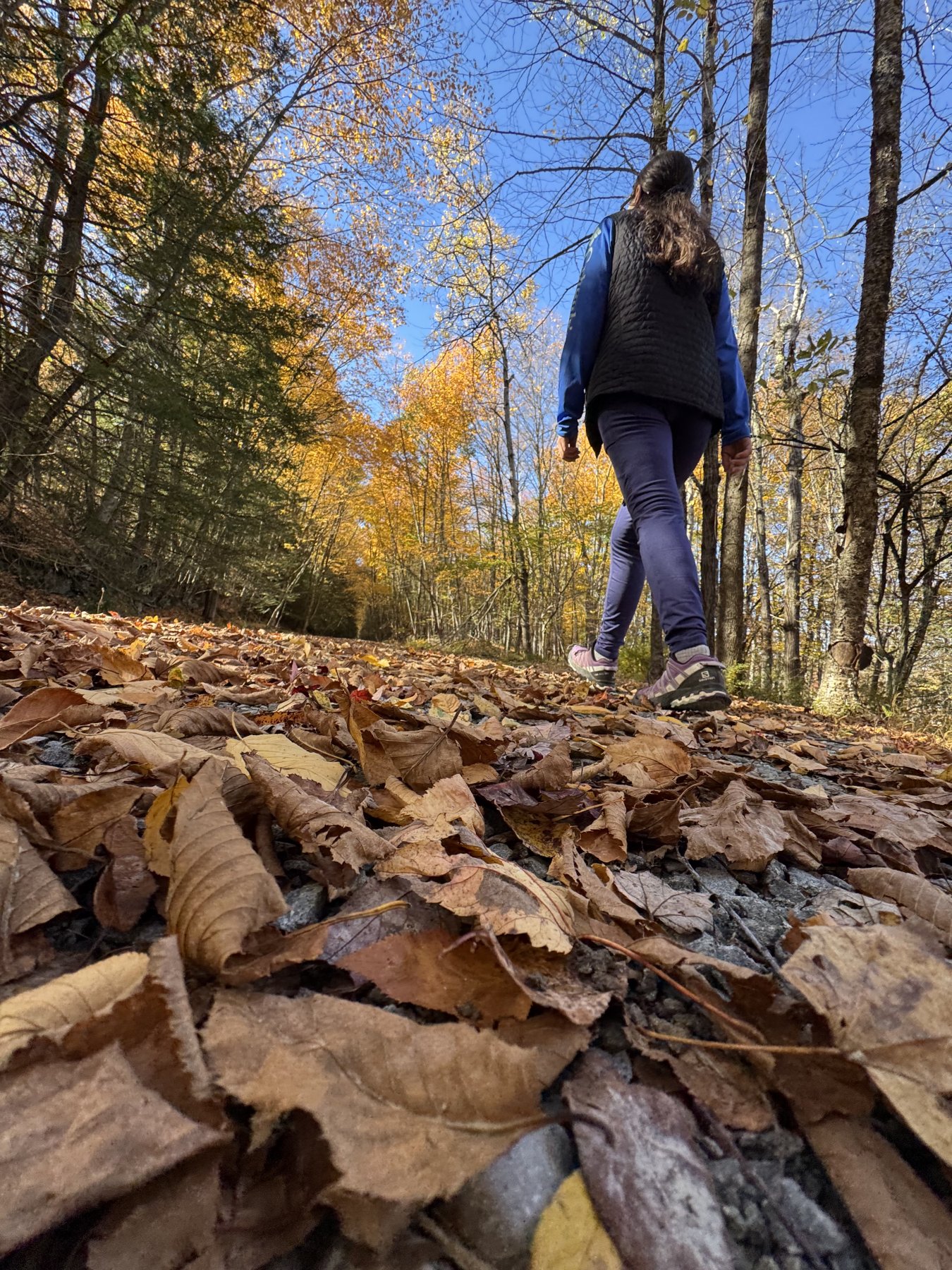Hiking photo shared by HBTrails