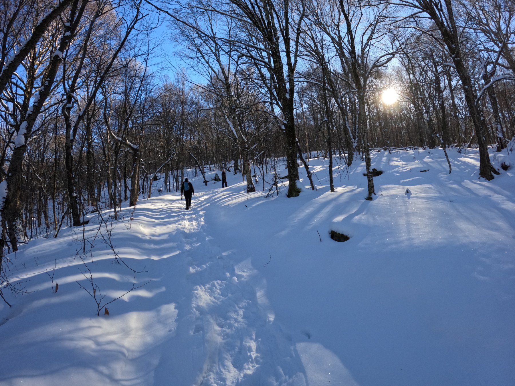 Open trail photo