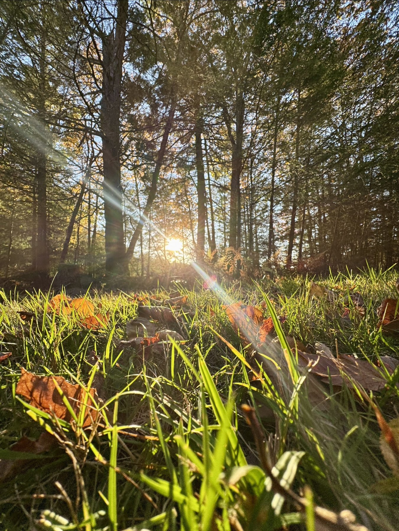 Hiking photo shared by HBTrails