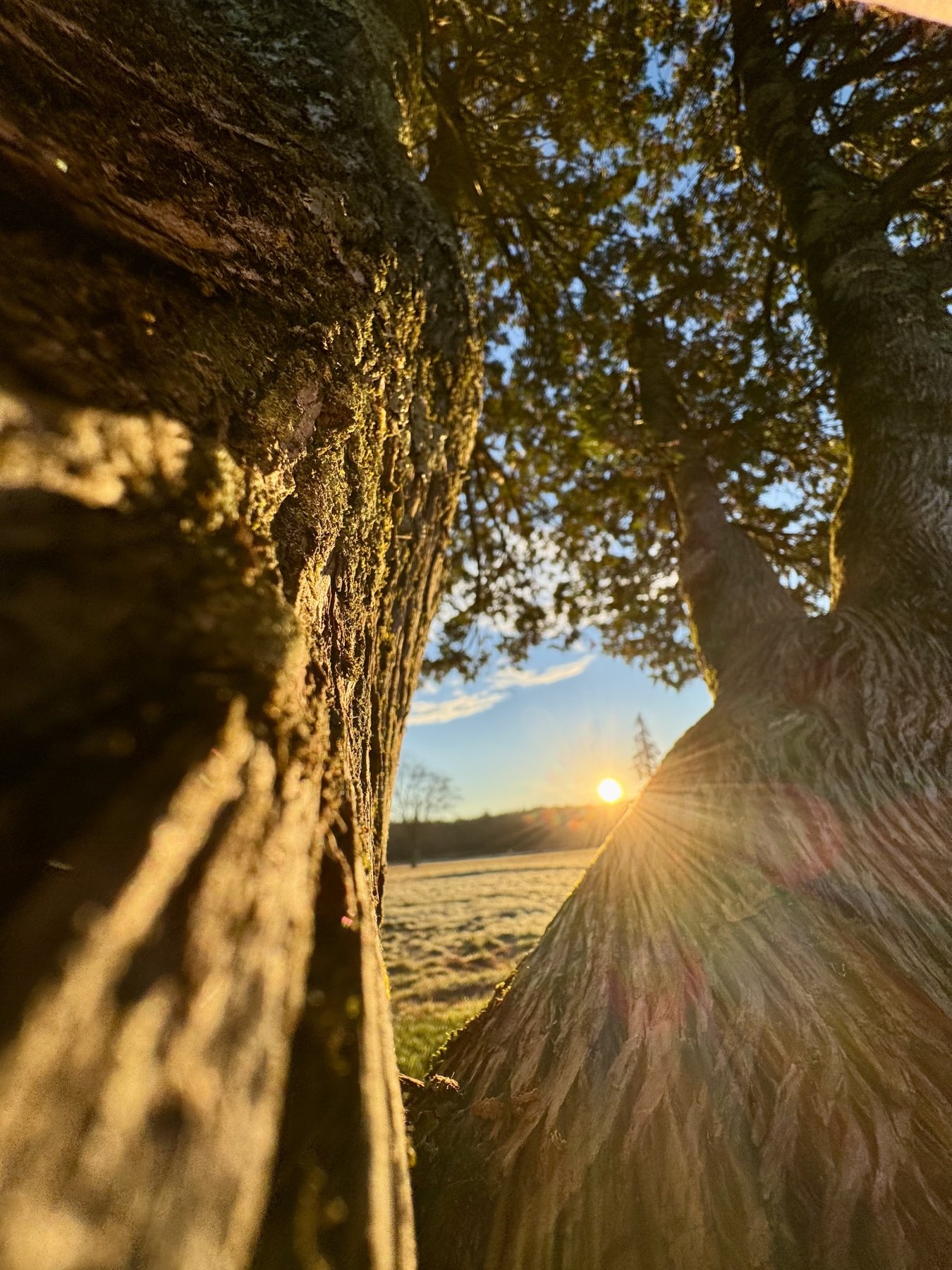 Hiking photo shared by HBTrails