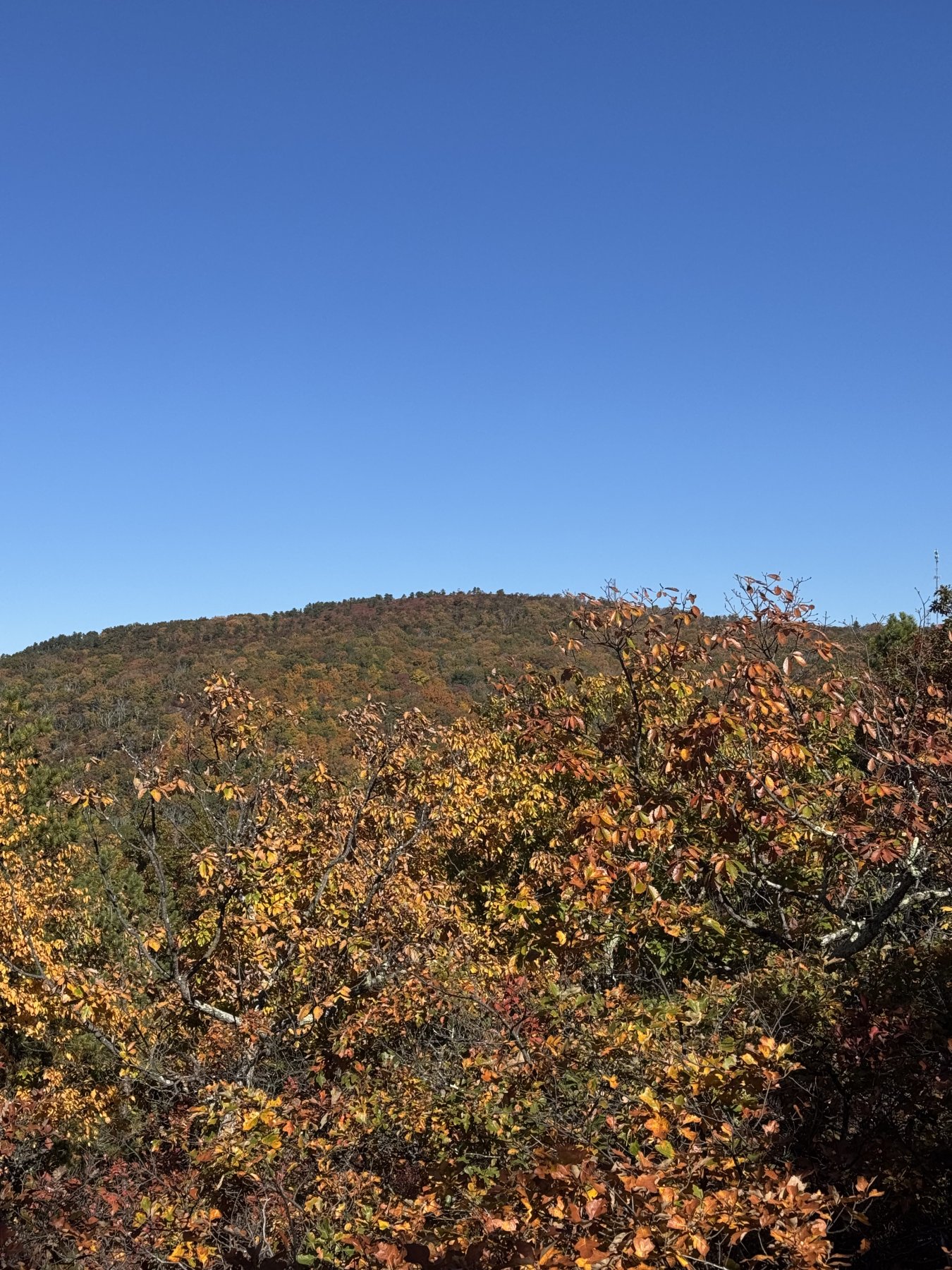 Hiking photo shared by HBTrails