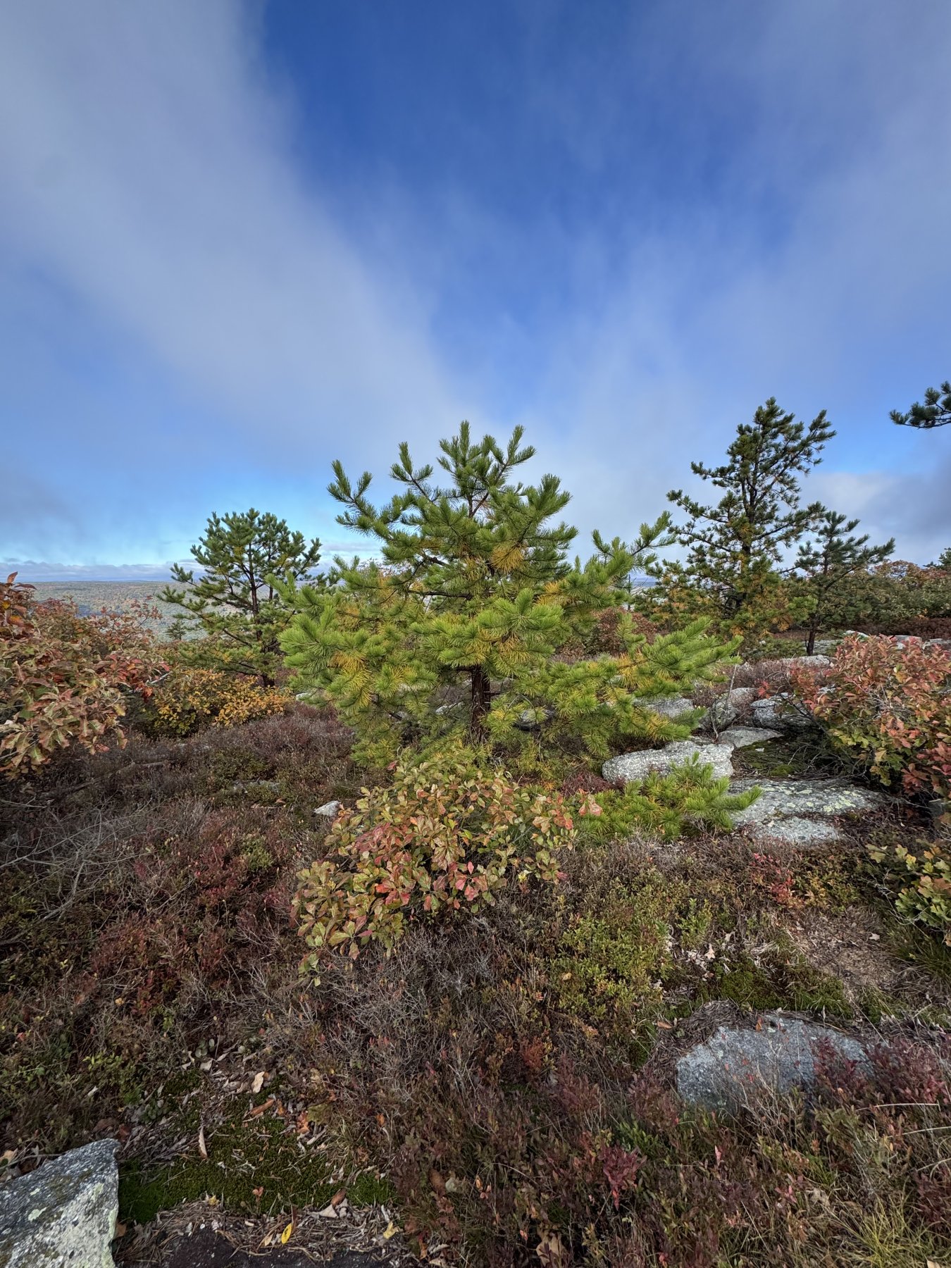 Hiking photo shared by HBTrails